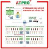 HỆ THỐNG ANDON TRONG SẢN XUẤT