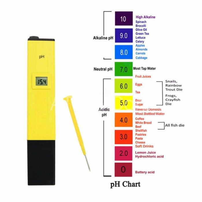 Nồng độ pH chính là nồng độ ion hydro xuất hiện trong nước hồ cá, theo đó, nồng độ pH càng cao chứng tỏ nước có tính axit nặng