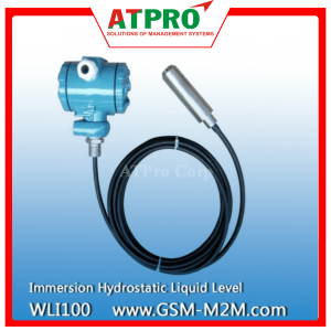 CẢM BIẾN ĐO MỨC NƯỚC THỦY TĨNH WLI100