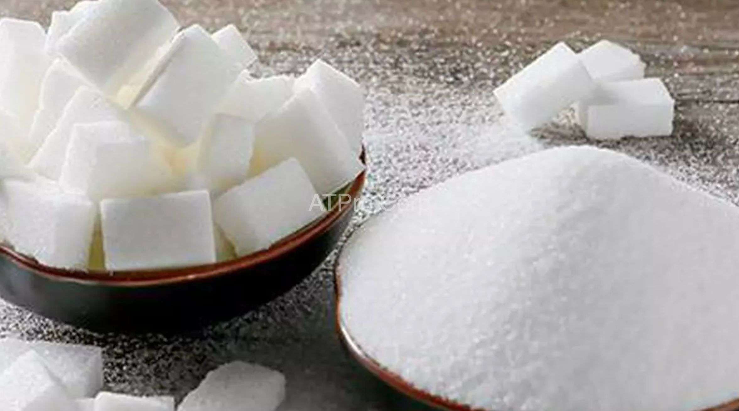 đo mức chất rắn trong nhà máy sản xuất đường