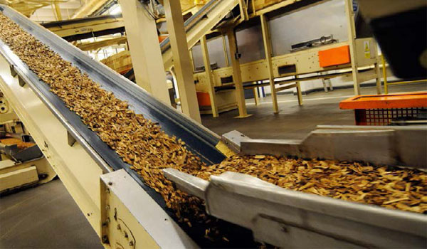 Dây chuyền sản xuất thuốc lá 
