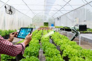 Hệ thống quan trắc môi trường nông nghiệp thông minh