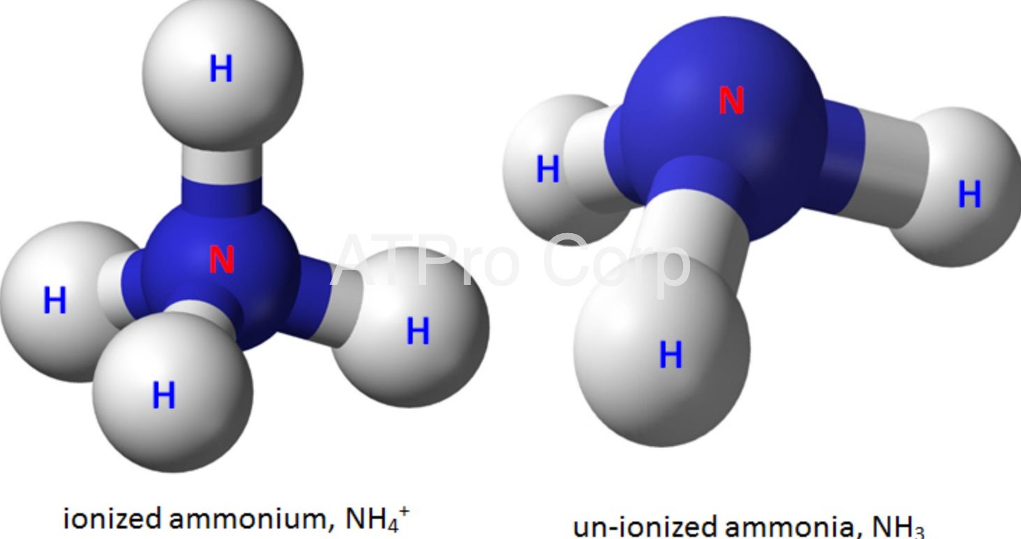 Ammonia Nitrogen là gì? Mua cảm biến Nitơ Amoniac Sensor giá rẻ ở đâu?
