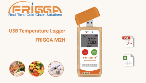 Bộ ghi nhiệt độ độ ẩm USB FRIGGA M2H