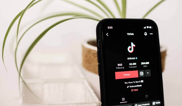 Tài khoản TikTok tích xanh với hơn 60 triệu người theo dõi