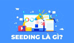 Seeding là gì