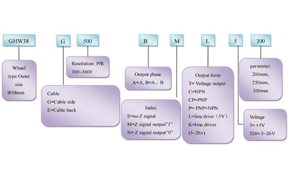 Các tùy chọn của cảm biến đo chiều dài, encoder CALT GHW38