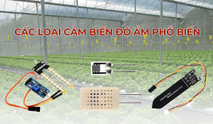 Các loại cảm biến độ ẩm phổ biến hiện nay