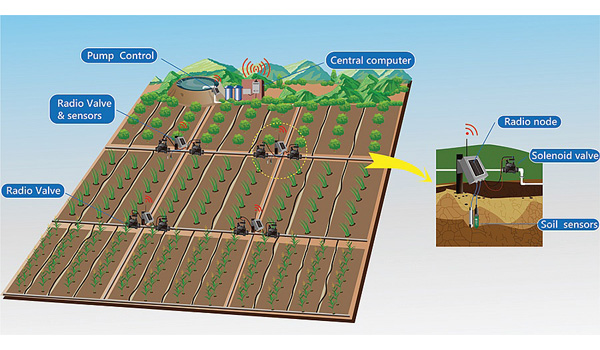 Cảm biến mức nước giúp giảm thiểu lãng phí & đảm bảo cây trồng nhận được lượng nước cần thiết