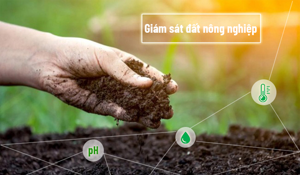 Cảm biến pH giúp giám sát độ pH của đất & nước tưới theo thời gian thực