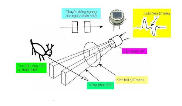 Cảm biến chuyển động PIR sensor là giải pháp hiệu quả, đơn giản & tiết kiệm