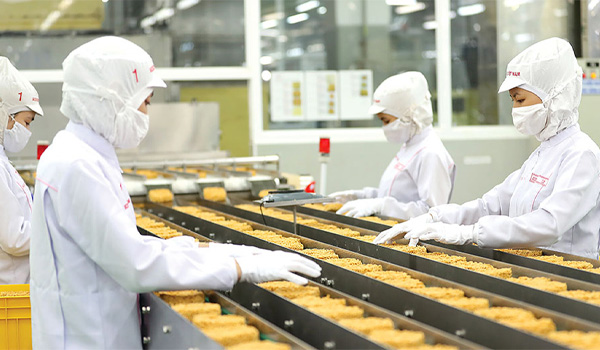 Nguồn nhân lực cần được đào tạo bài bản để đảm bảo dây chuyền hoạt động ổn định