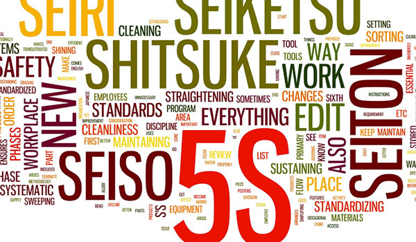 Tổng quan 3D5S trong quản lý doanh nghiệp