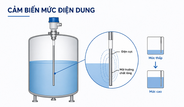 Cảm biến mức điện dung không có bộ phận chuyển động, độ bền cao