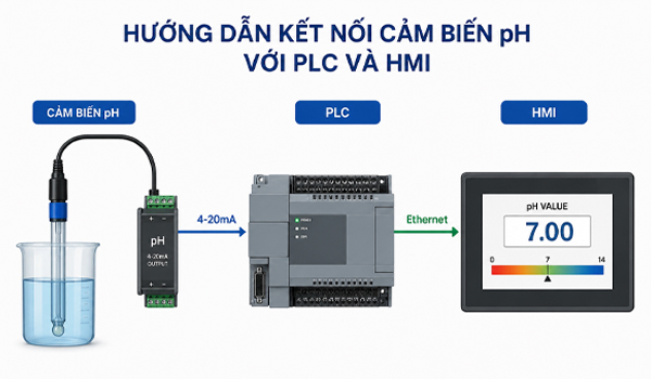 Hướng dẫn kết nối cảm biến pH với PLC và HMI