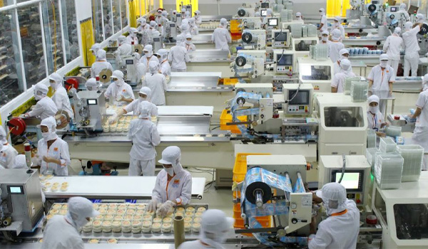 Thu thập Production Rate thực tế theo từng máy, từng công đoạn, từng ca sản xuất,...
