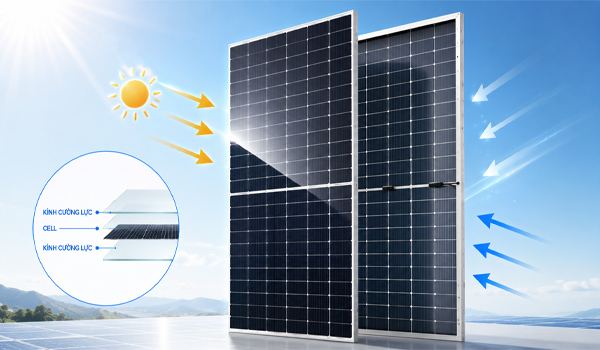 Tấm pin bifacial có khả năng hấp thụ ánh sáng từ cả 2 phía