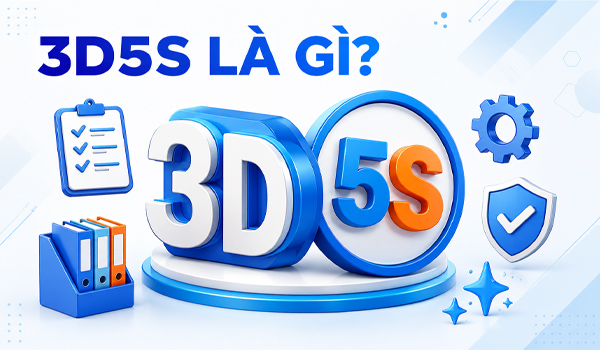 3D5S là gì?